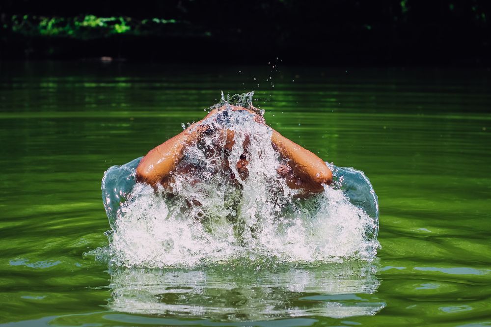 Photograph by Badhan Dhar