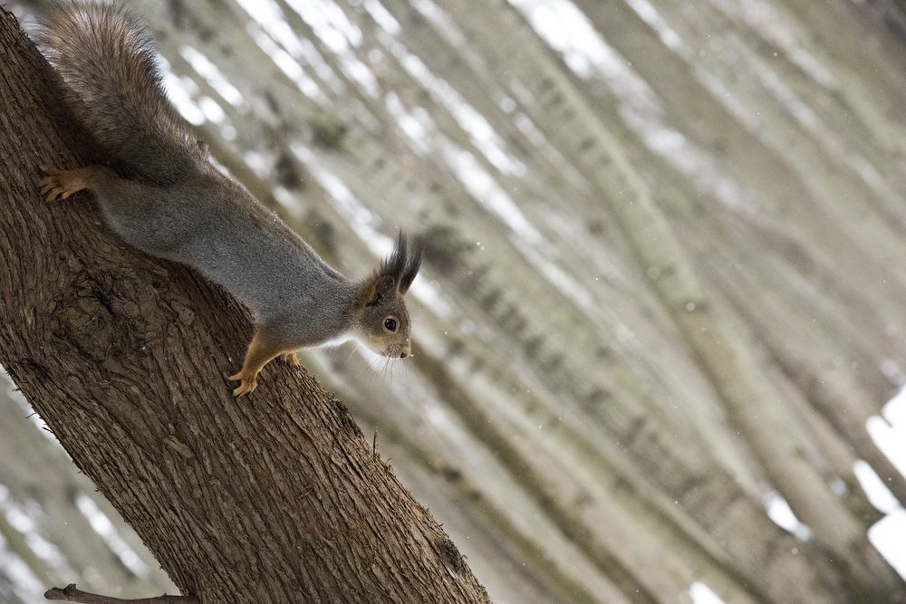 Photograph by Svetlana Khromova