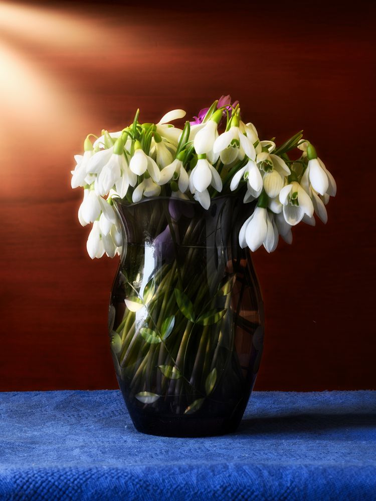 Photograph by Владимир Кваша