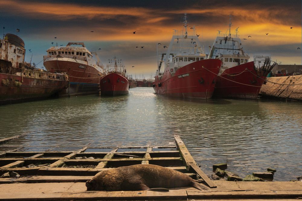 Photograph by antonio Solimeno