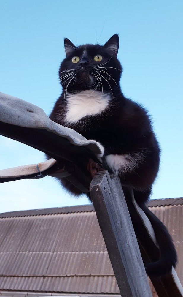 Фотография автора Ирина Лукьянчик