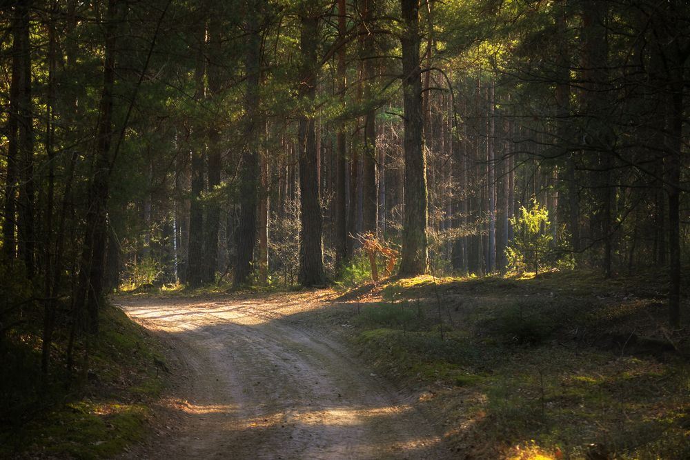 Photograph by Игорь Зайцев