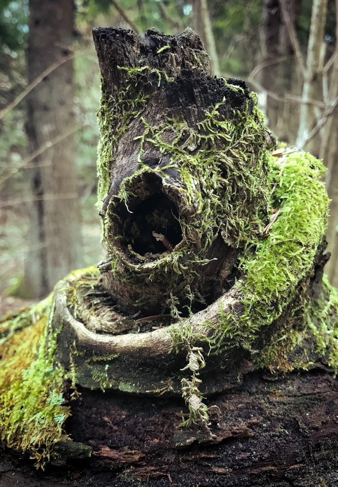 Photograph by Mary Ryzhenkova