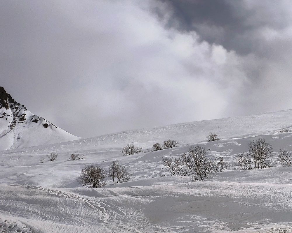 Photograph by Светлана Смирнова