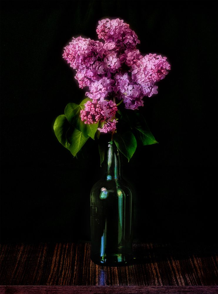 Photograph by Владимир Кваша