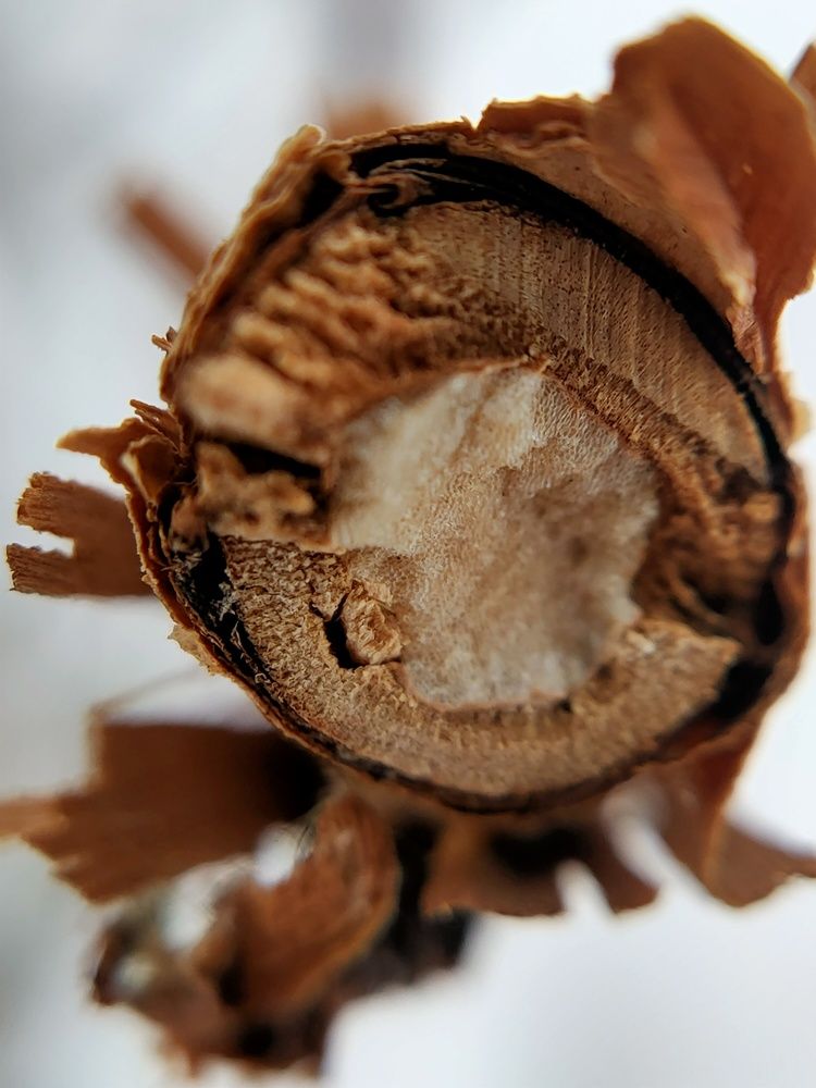 Photograph by Денис