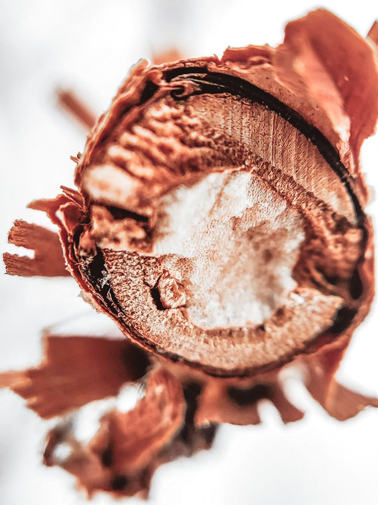 Смотри вокруг себя