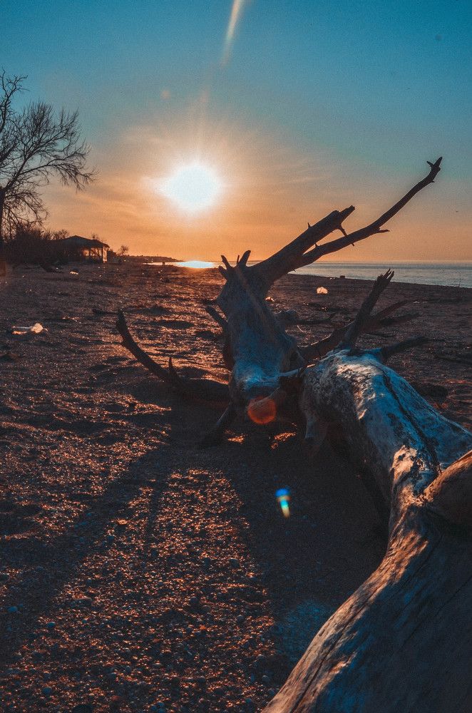 Photograph by Дмитрий Педченко