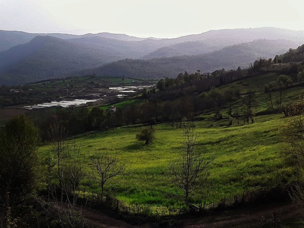 Photograph by Sajad Alizadeh