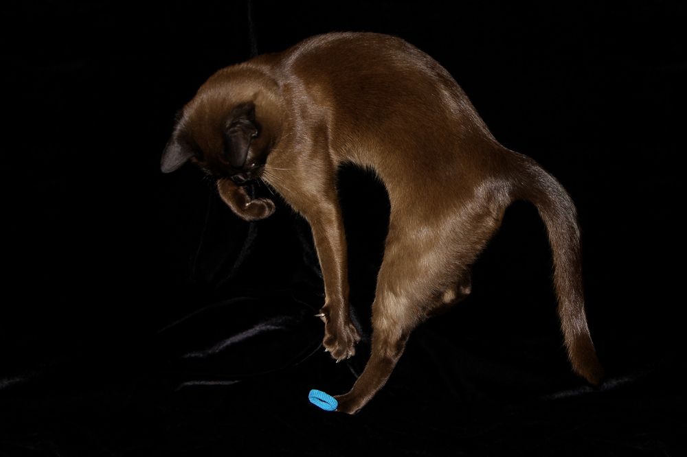 Фотография автора Надежда Лисицына