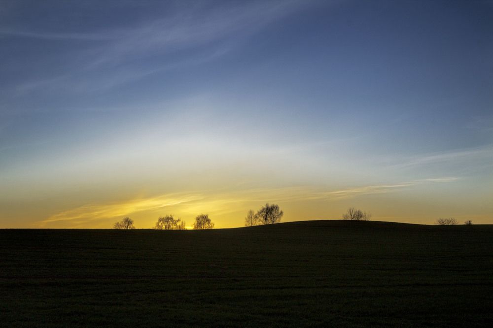 Photograph by 
