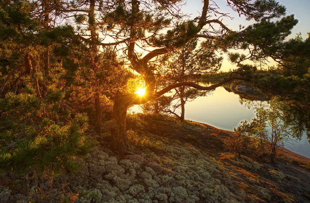 Солнце купается в воде.