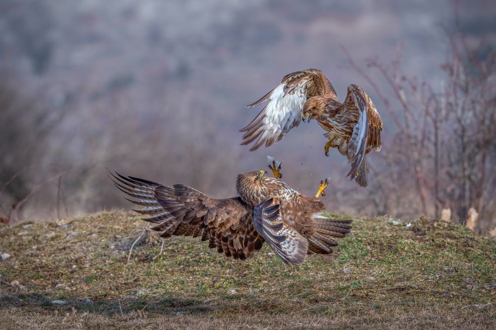 Photograph by Adamov Eddie