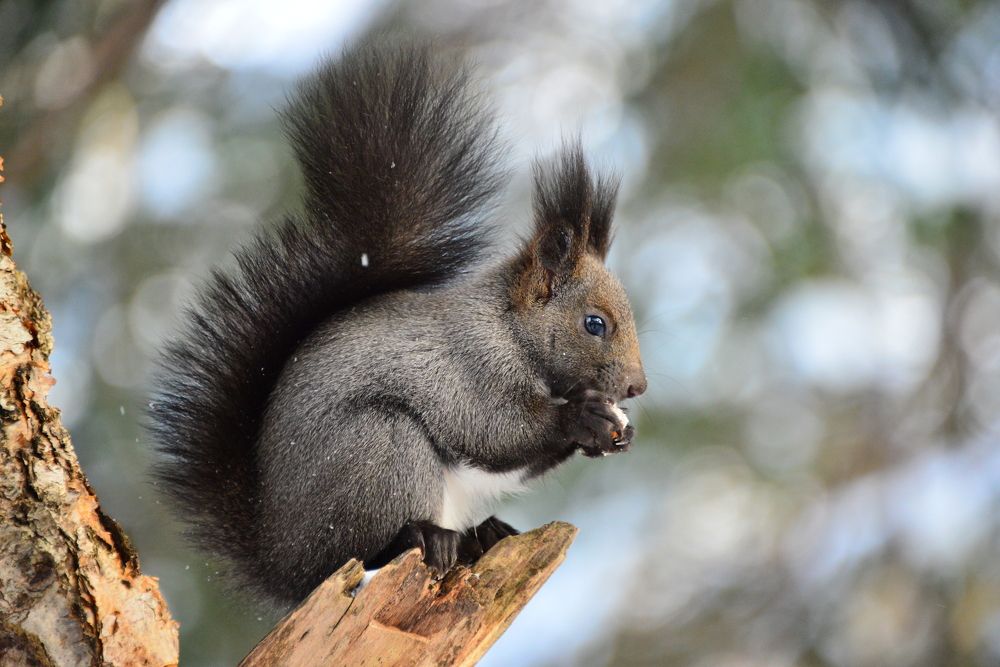 Photograph by Дмитрий Юдин