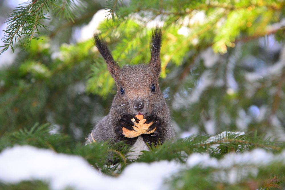 Photograph by Дмитрий Юдин