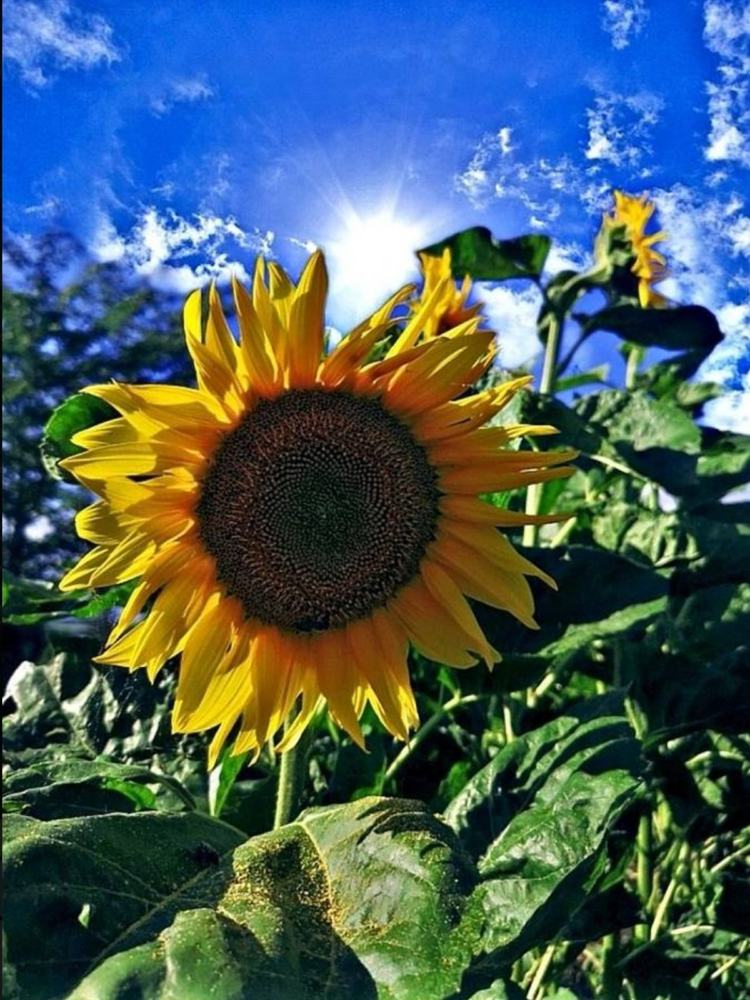 Photograph by Nikolett Mengyi