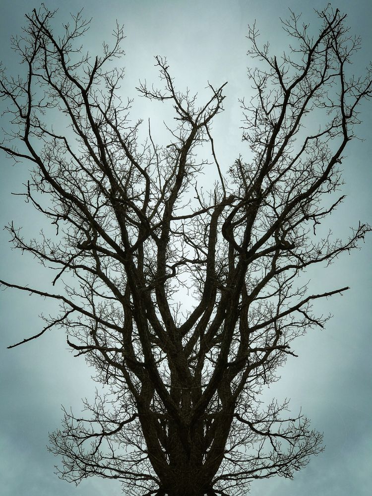 Photograph by Mary Ryzhenkova