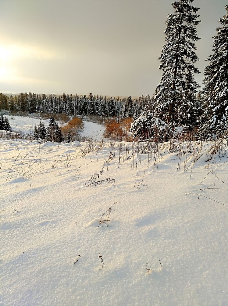 Photograph by Анатолий Майдуров