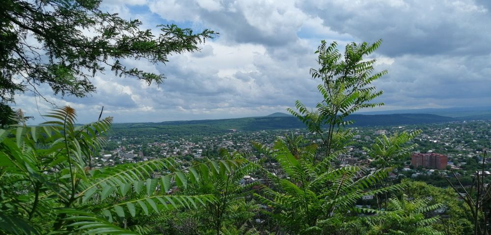 надвигается дождь