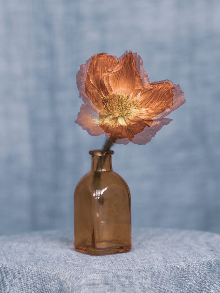 Photograph by Ксения Лаевская