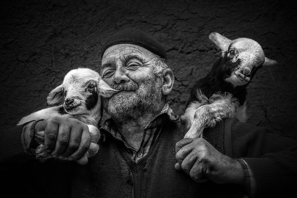 Photograph by homayon kshvarprst navi