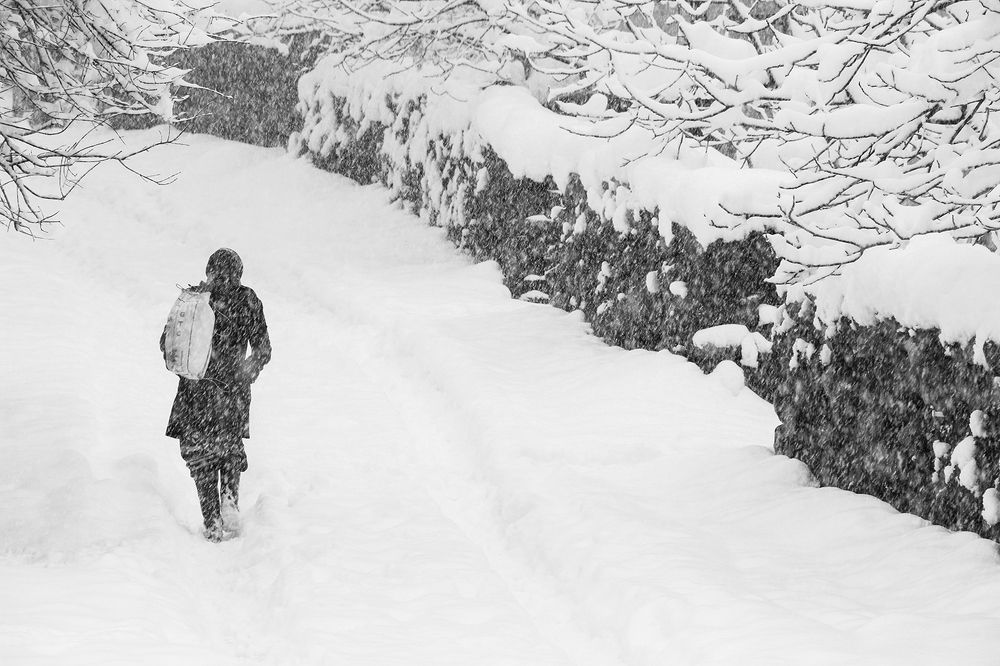 Photograph by homayon kshvarprst navi