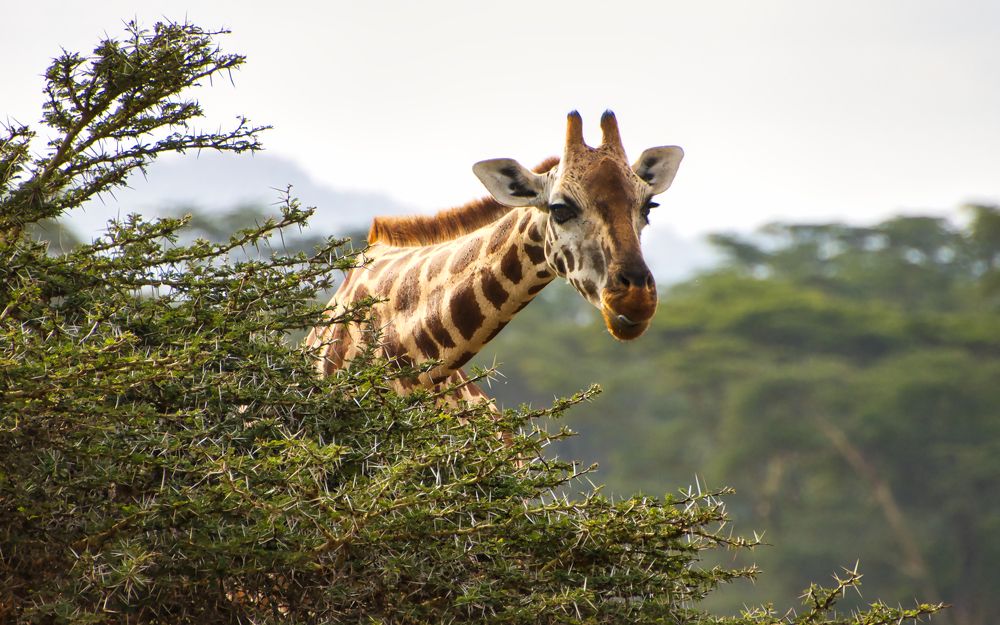 Photograph by Epp Tappel