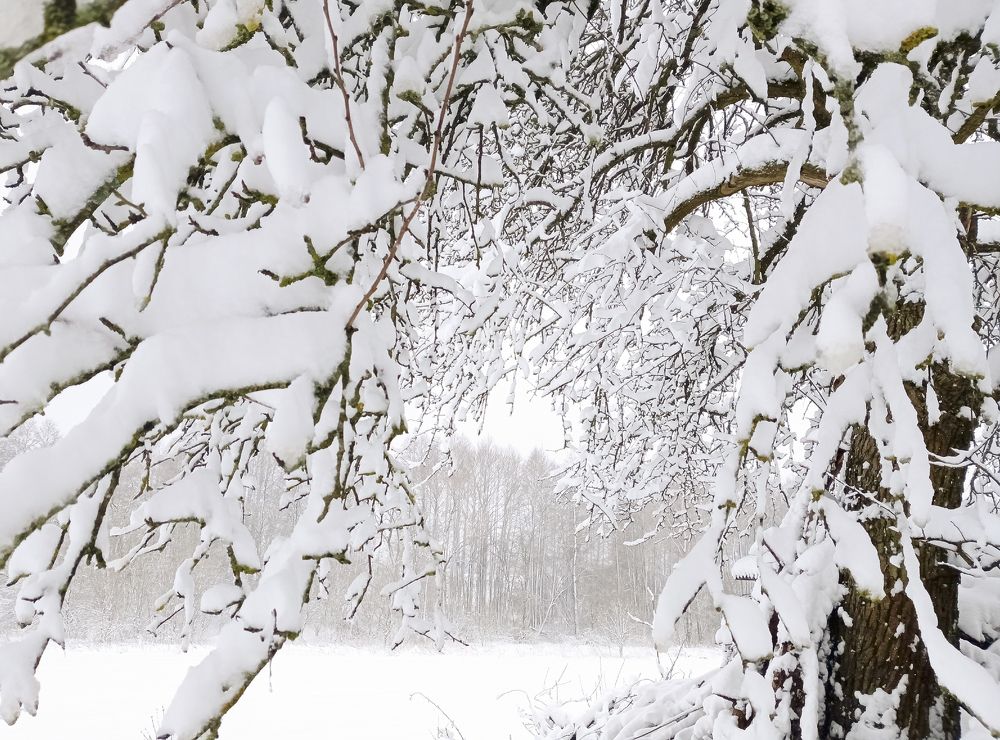 Photograph by Василий Раковец