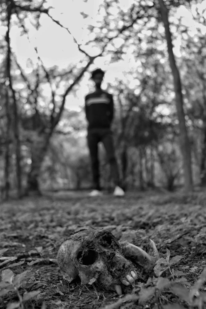 Meeting my ancestors