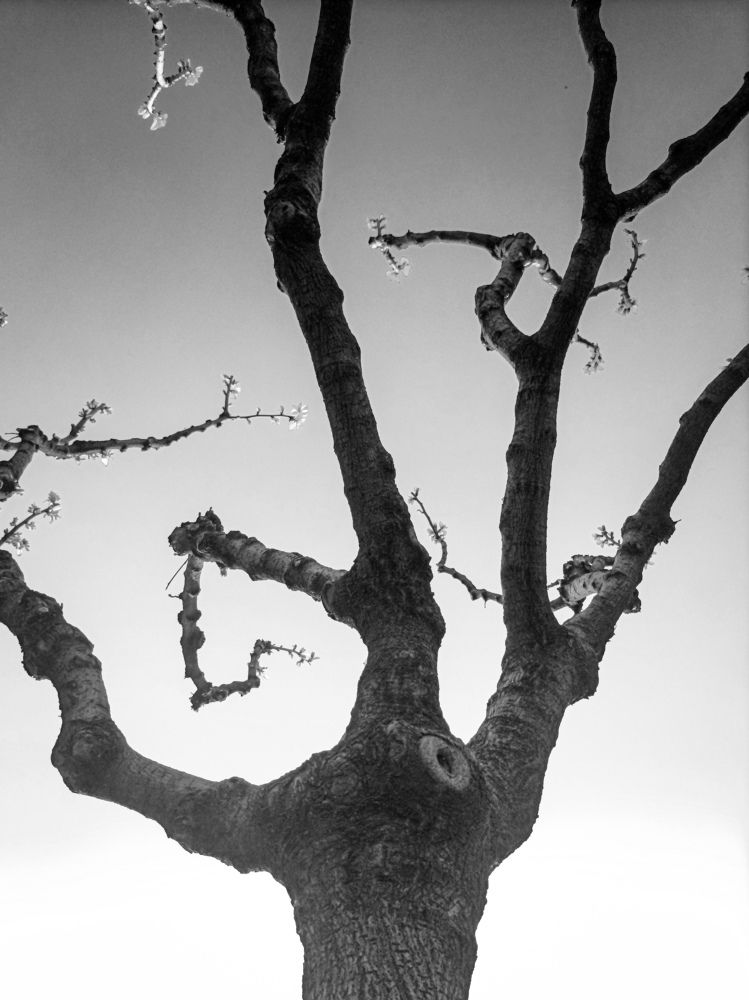 Photograph by Ehsan Ehsan