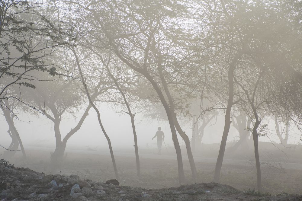 In the middle of the fog