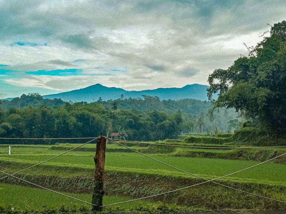 Photograph by Rifki fajar Kiki
