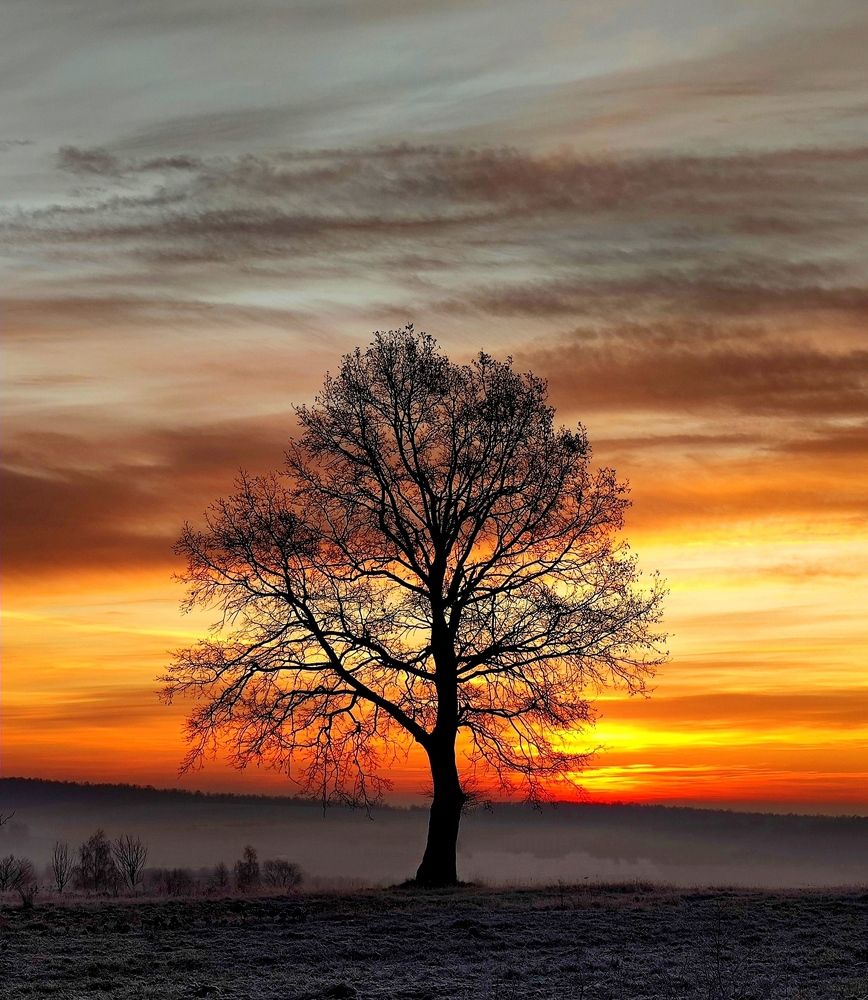 Photograph by Инна Макарчук