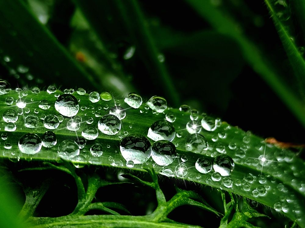 Photograph by Инна Макарчук