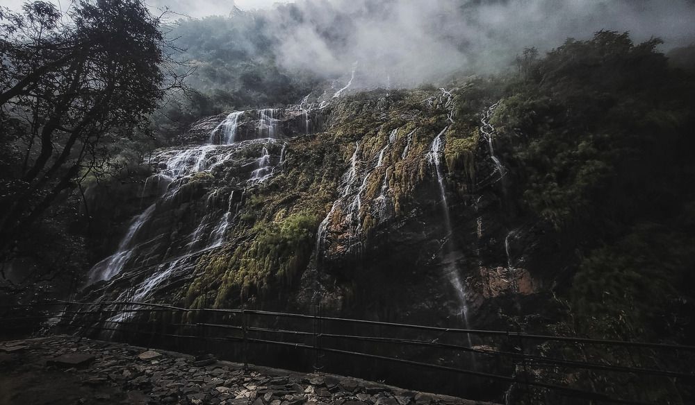 Photograph by Donald Lepcha