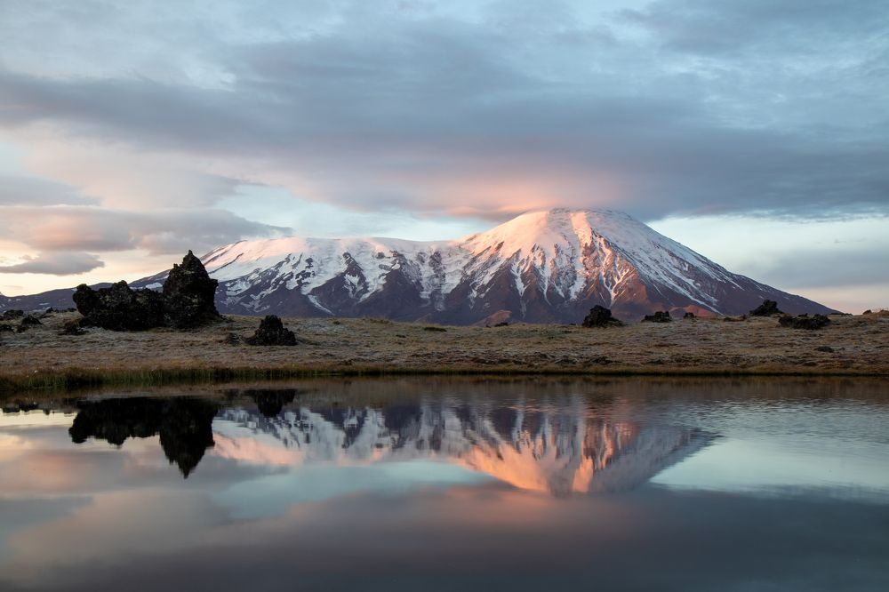 Фотография автора Nadezhda Okorokova