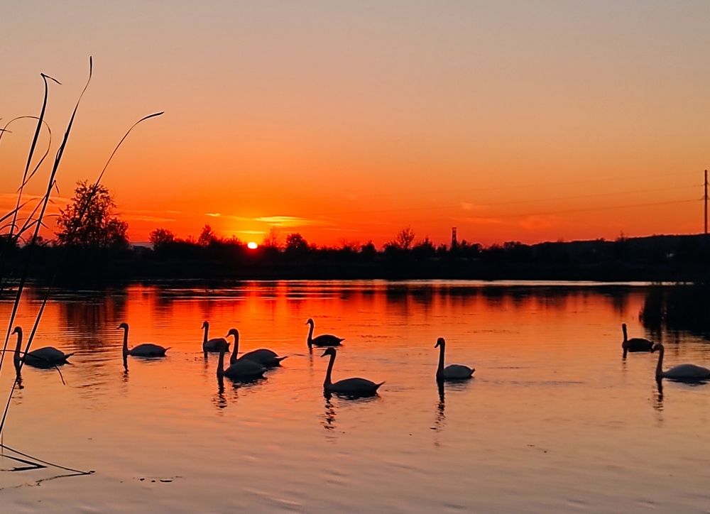 Photograph by Инна Макарчук