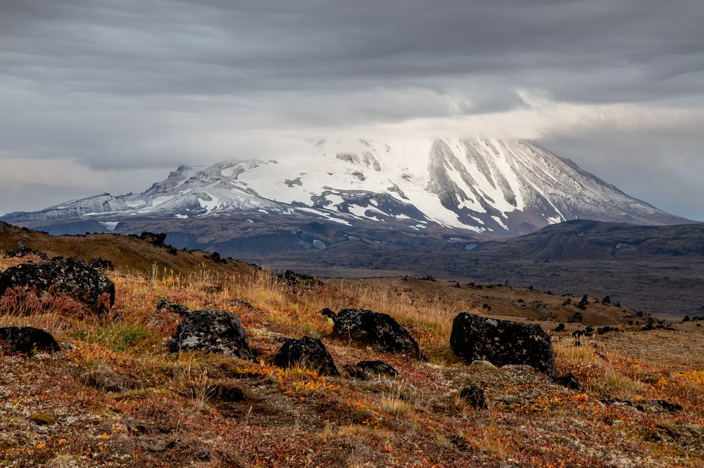 Фотография автора Nadezhda Okorokova