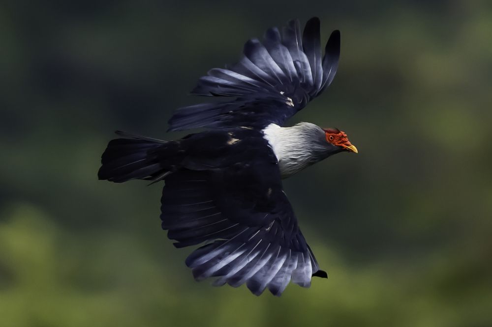 Photograph by Tomas Vanourek