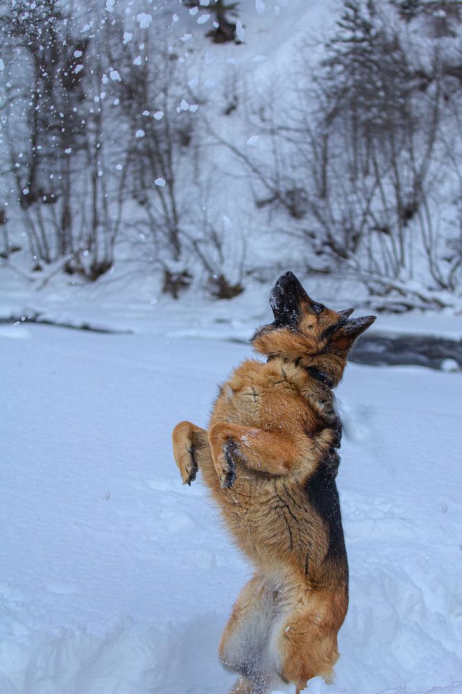 Photograph by Ронжин Дмитрий