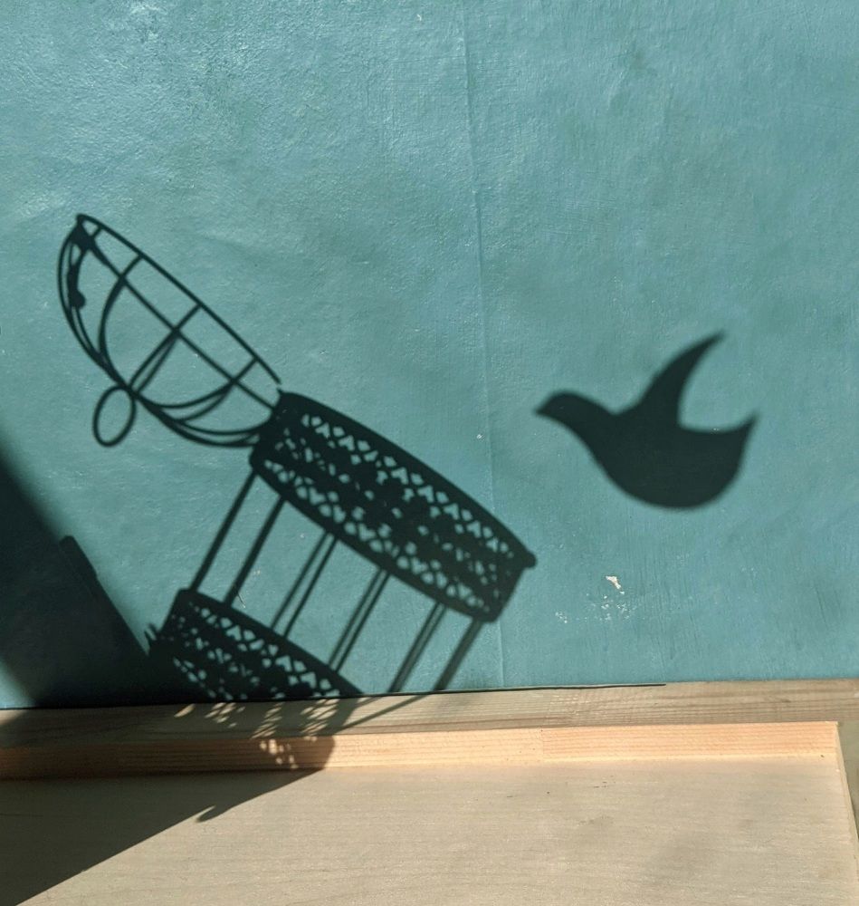 Фотография автора Ксения