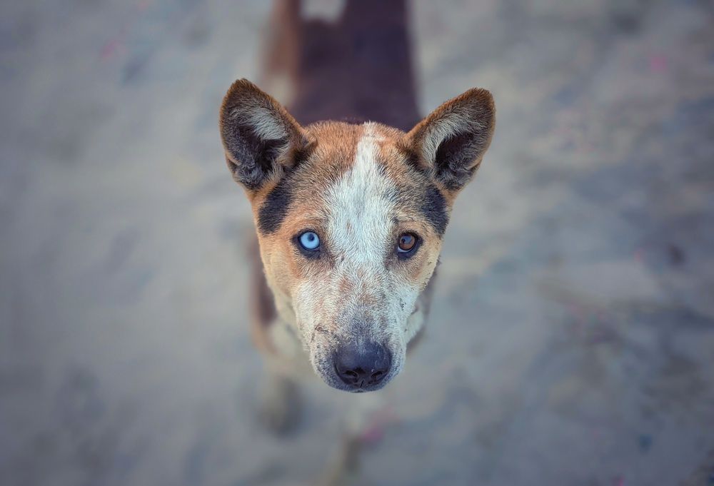 Photograph by Ishmam Ishmam