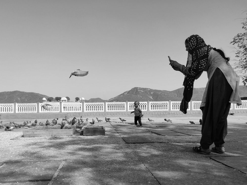 Photo #7471967