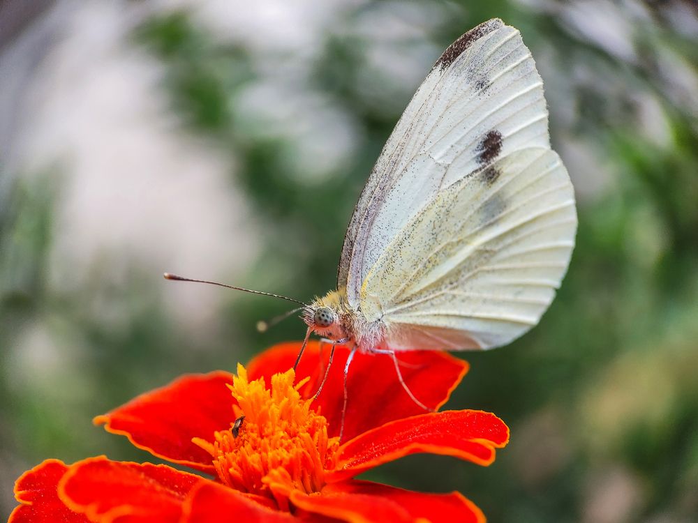 Photograph by Дина Горбачёва