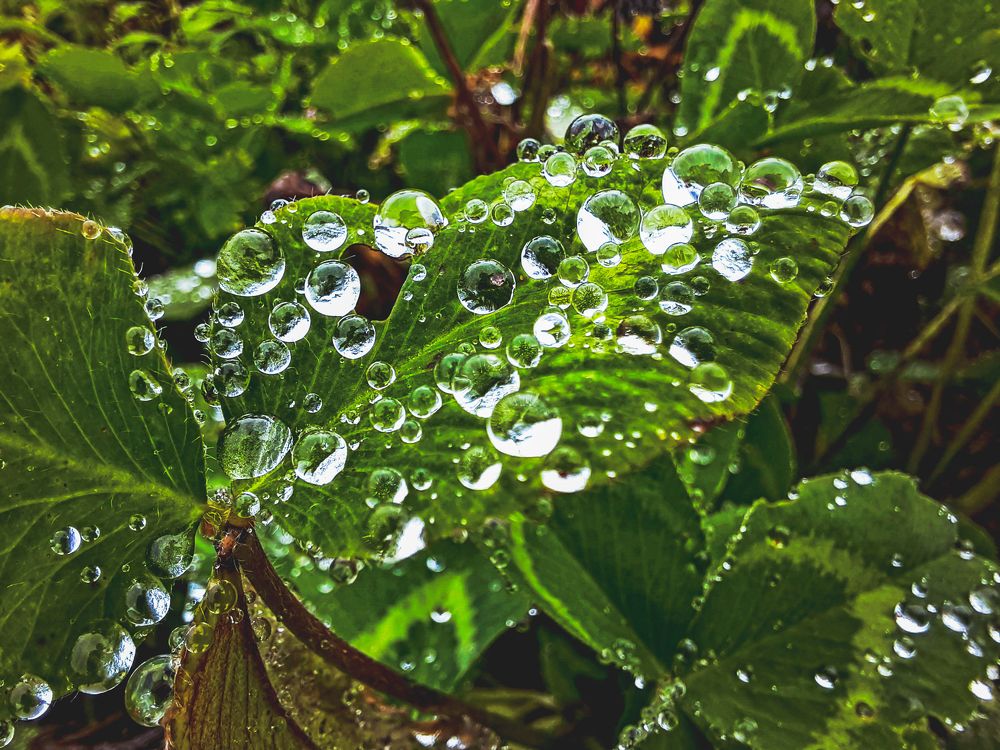 Алмазные шарики