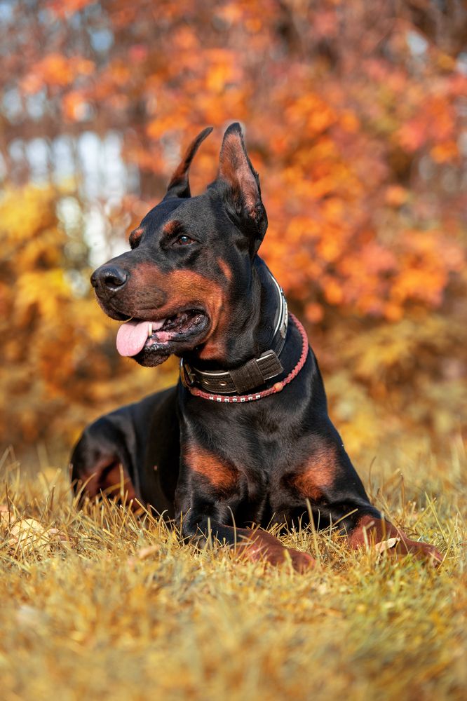 Photograph by Анастасия Третьякова