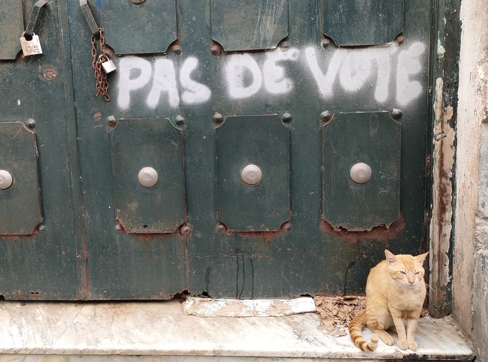 Photograph by Mohamed Kaouche