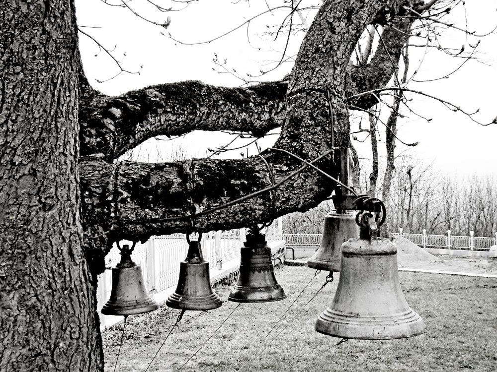 Photograph by Евгений Бригиневич - Снежин