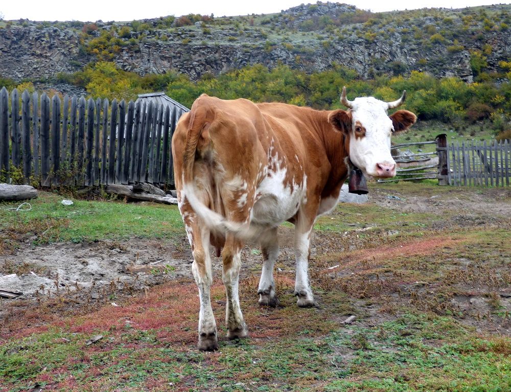 Photograph by Pjotr Alekseev