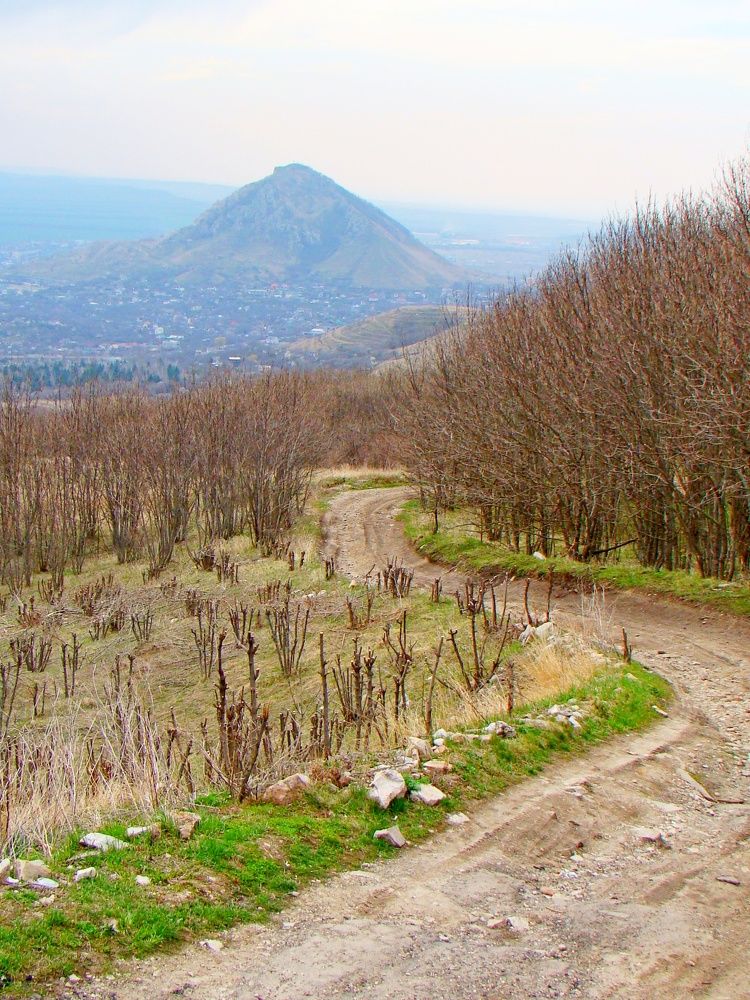 Photograph by Евгений Бригиневич - Снежин